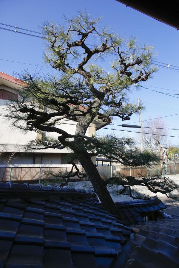 京都市 松春庵ヴィラ エクステリア 写真